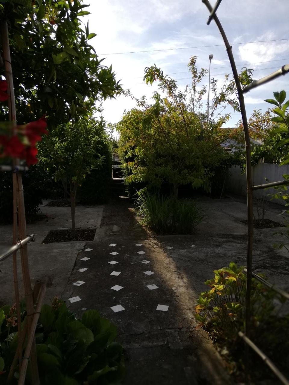 Ferienwohnung Casa Conceicao Atalaia  Exterior foto